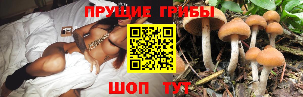 Артём  Галлюциногенные грибы прущие грибы  Вход с VPN  Псилоцибиновые грибы MAGIC MUSHROOMS 